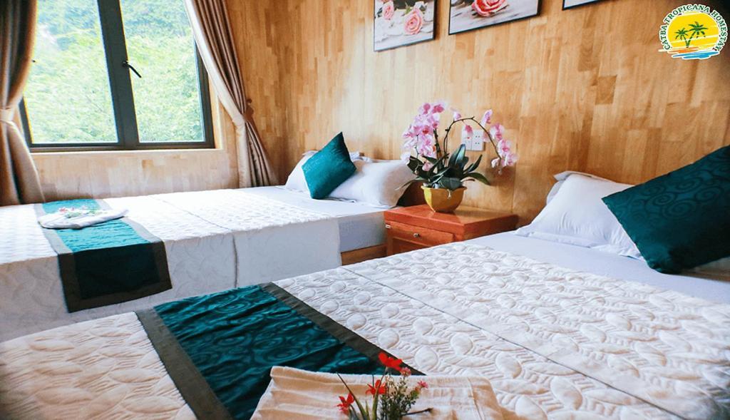 Homestay Tropicana Chan Chau